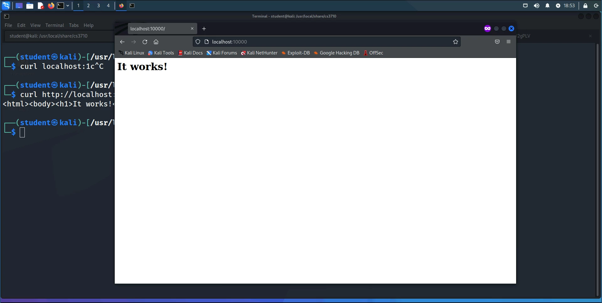 Screenshot of Firefox at http://localhost:10000 after starting up the webserver. The webserver simply says "It works!" when you visit the landing page.