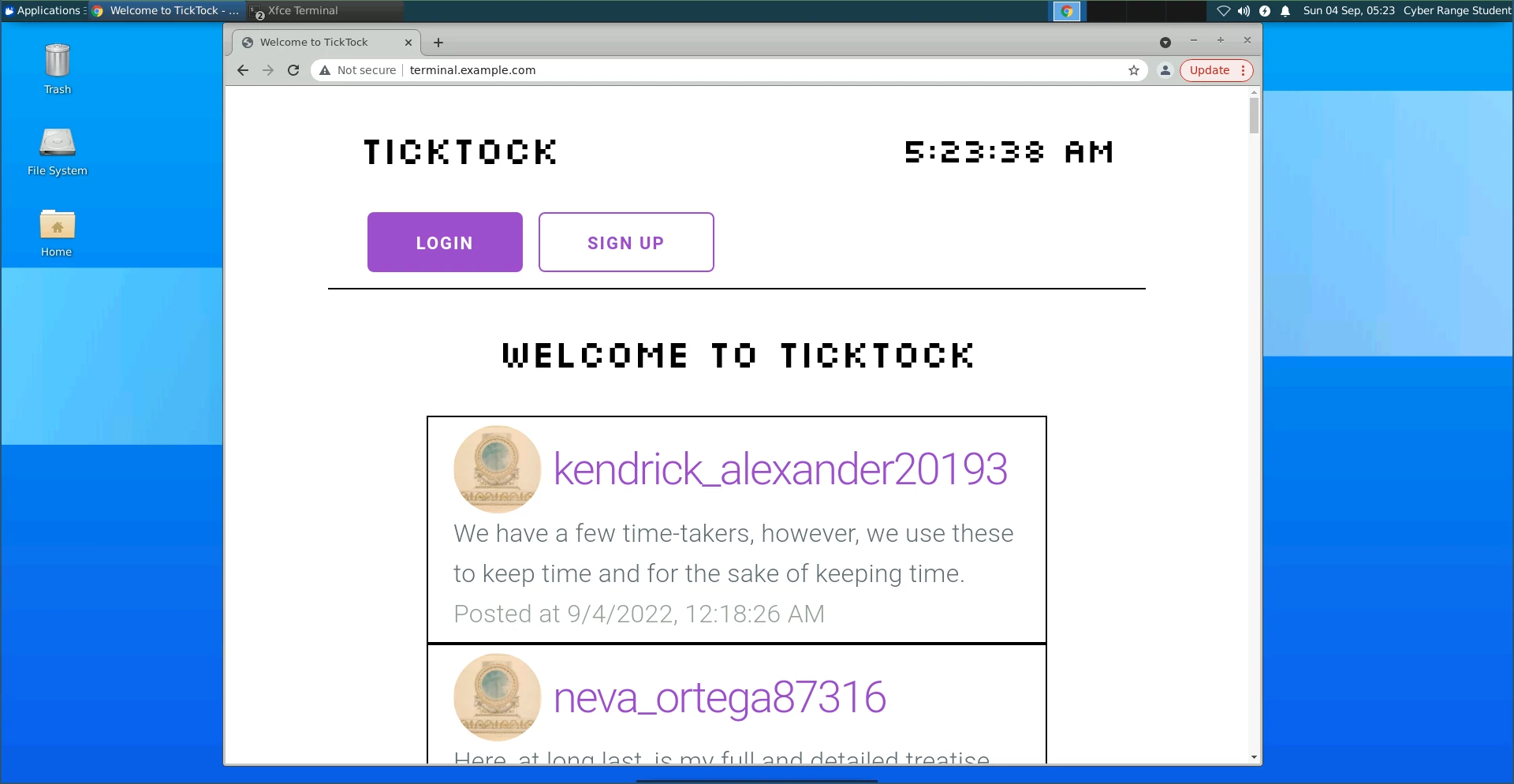 Screenshot of the TickTock website on Virginia Cyber Range.